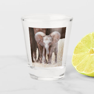 Baby Elephant Cute African Elephant with Mum Shot Glass