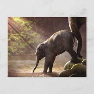 Baby Elephant Drinking Water Photo Postcard