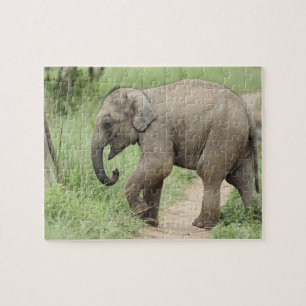 Baby Elephant following the mother,Corbett Jigsaw Puzzle