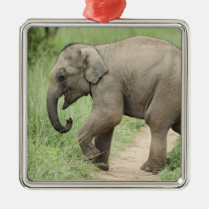 Baby Elephant following the mother,Corbett Metal Tree Decoration