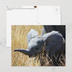 Baby Elephant in Masai Mara, Kenya Travel Postcard