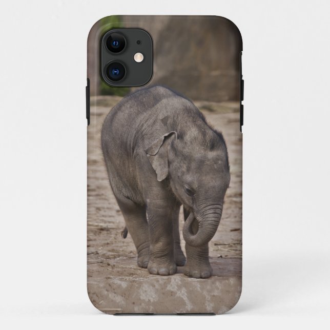 Baby Elephant iPhone 5 Case-Mate Case (Back)