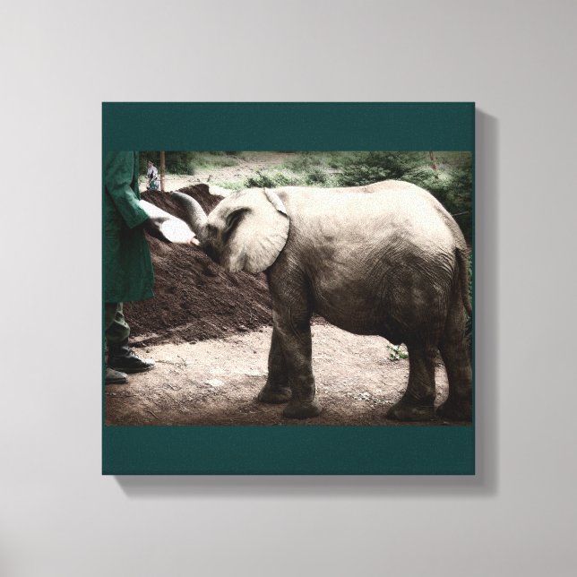 Baby Elephant - Kenya Canvas Print (Front)