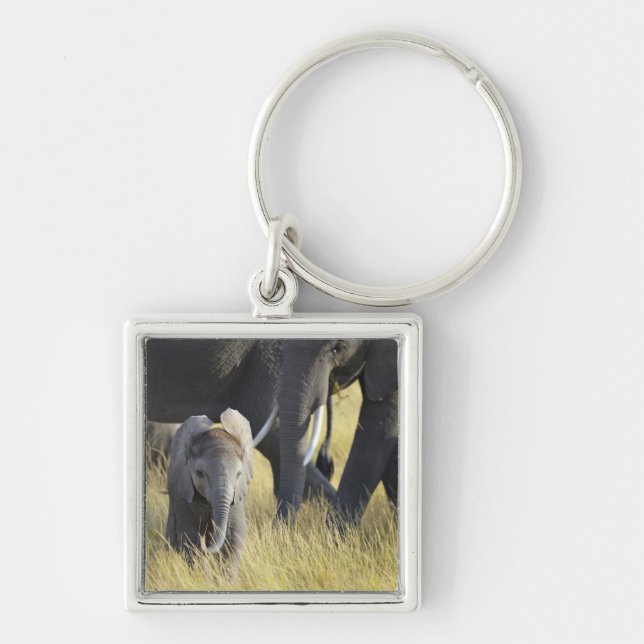 Baby Elephant Key Ring (Front)