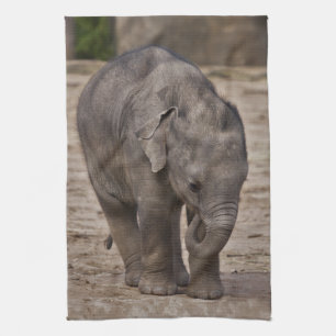 Baby Elephant Kitchen Towel
