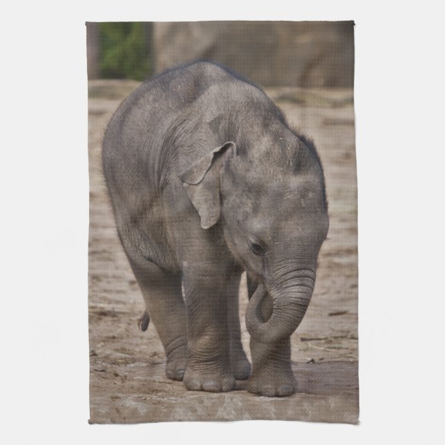 Baby Elephant Kitchen Towel (Vertical)
