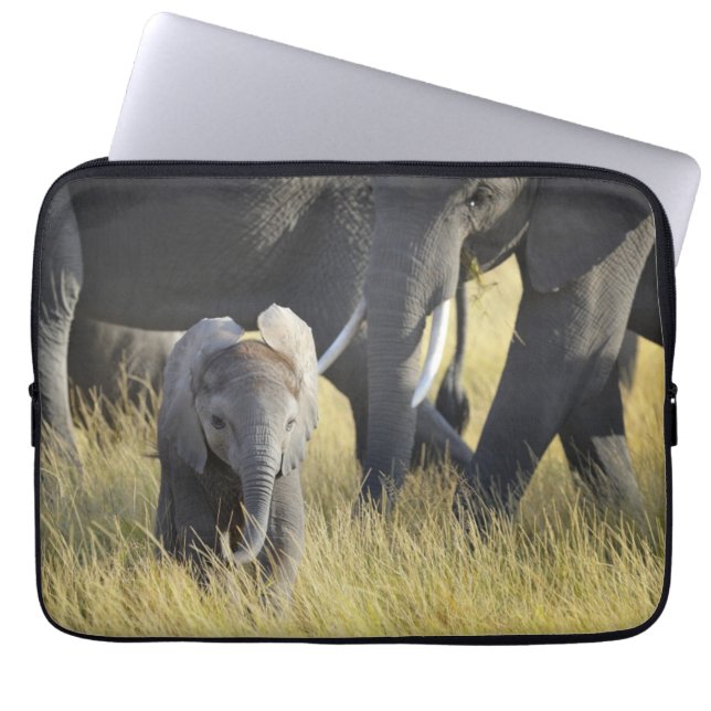 Baby Elephant Laptop Sleeve (Front)