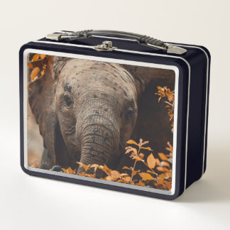 Baby Elephant Lunch Box – Custom Safari Gift