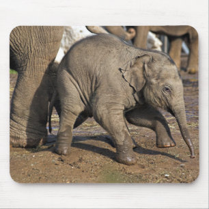 Baby elephant mouse mat