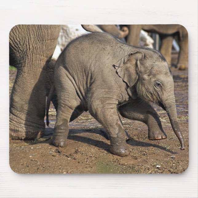 Baby elephant mouse mat (Front)