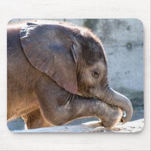Baby Elephant Mouse Mat