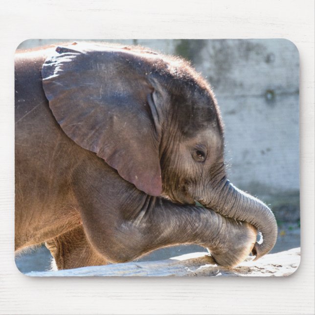 Baby Elephant Mouse Mat (Front)