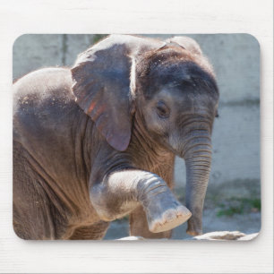 Baby Elephant Mouse Mat