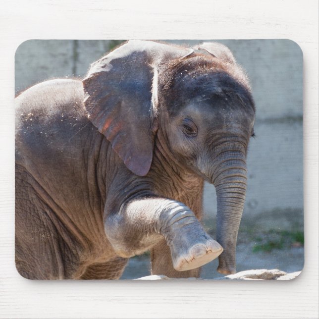 Baby Elephant Mouse Mat (Front)