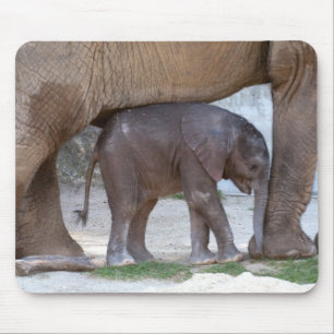 Baby Elephant Mouse Mat