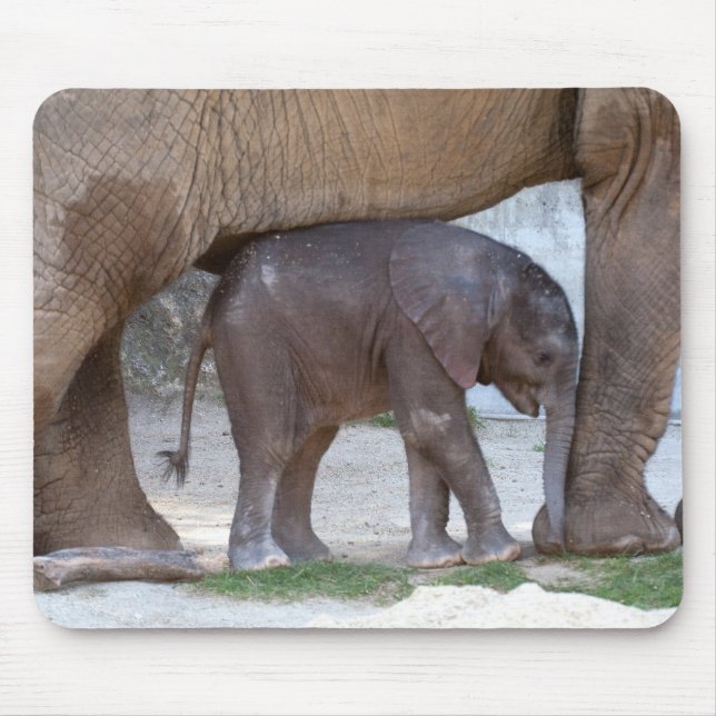 Baby Elephant Mouse Mat (Front)
