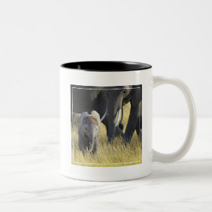 Baby Elephant Two-Tone Coffee Mug