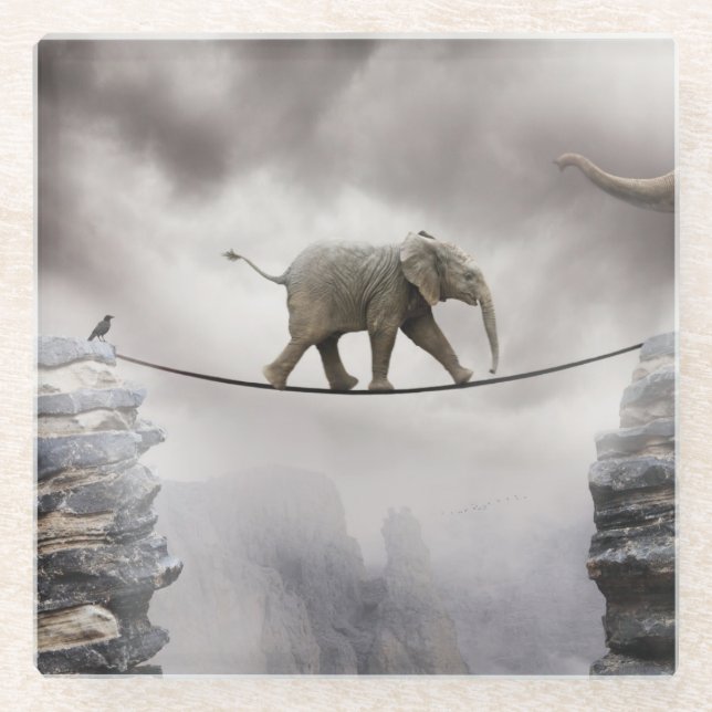 Baby Elephant Walks The Tightrope Glass Coaster (Front)