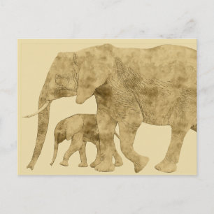 Baby Elephant with it's Mother  Postcard