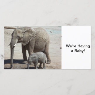 Baby Elephant with Mummy Announcement