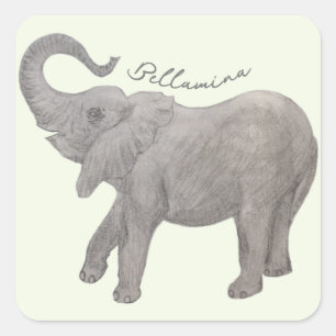 Baby Elephant With Text Square Sticker