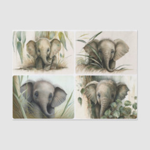 Baby Elephants Tissue Paper