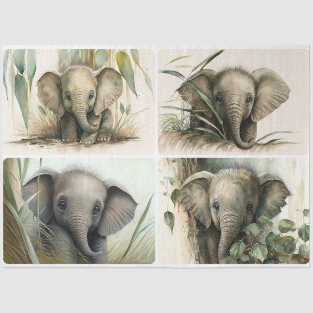 Baby Elephants  Tissue Paper (Front)