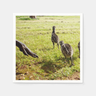 Baby Emu Chicks And Big Foot,  Napkin