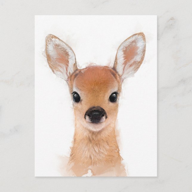 Baby Fawn Postcard (Front)