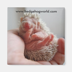 Baby feet magnet