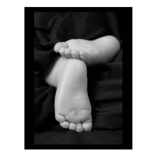 Baby Feet Postcard