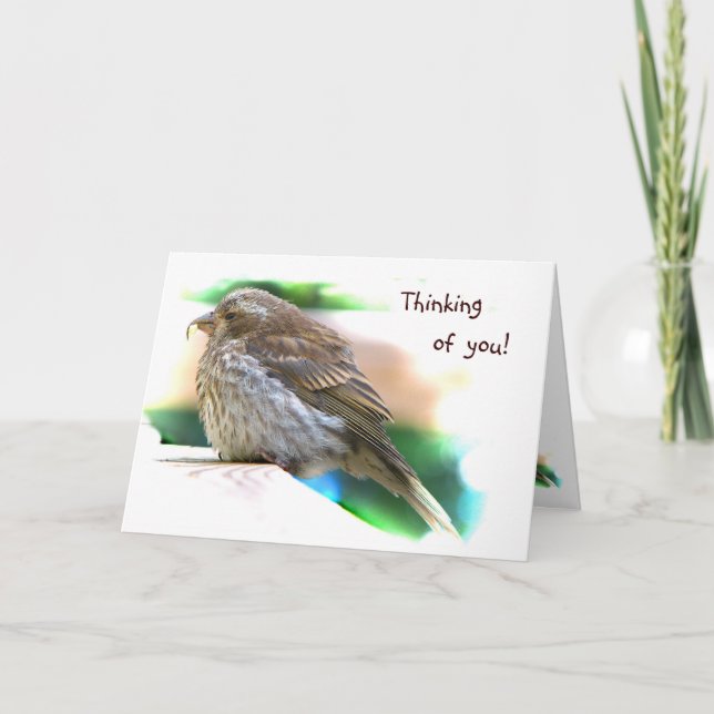 Baby Finch Friendship Card (Front)