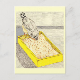 Baby Finch Just Learning To Eat Seeds Postcard