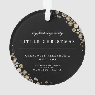 Baby First Christmas Snowflakes Photo Ornament