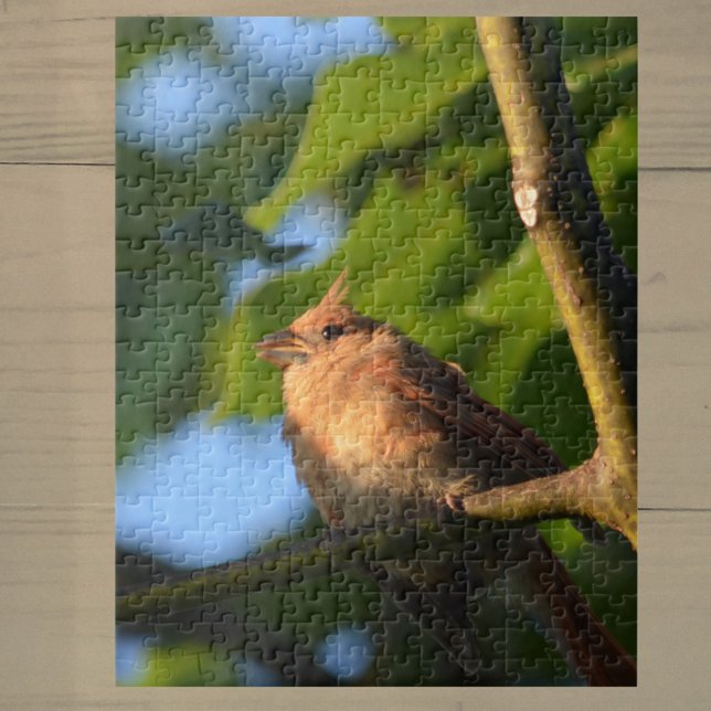 Baby Fledgling Cardinal Photographic Jigsaw Puzzle (Creator Uploaded)