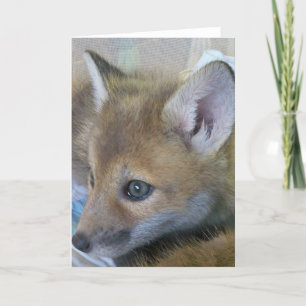 Baby Fox Greeting Card