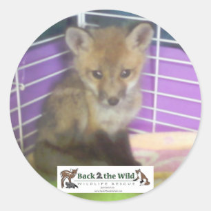baby fox stickers