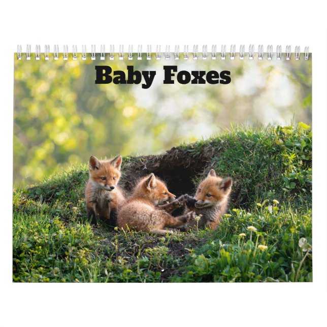 Baby Foxes 2027 Calendar (Cover)