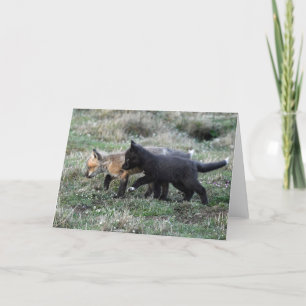 Baby Foxes on the Prowl Holiday Card