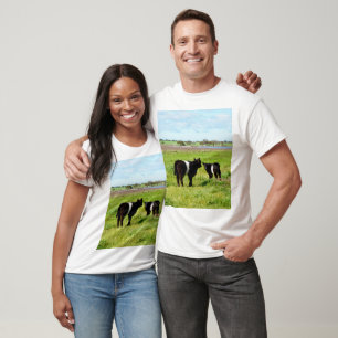Baby Galloway Cows, T-Shirt