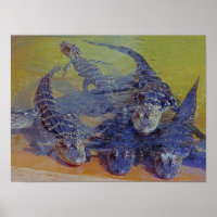 Baby Gators Poster