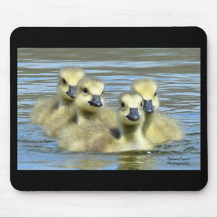 Baby Geese Mouse Mat