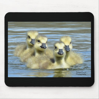 Baby Geese Mouse Mat