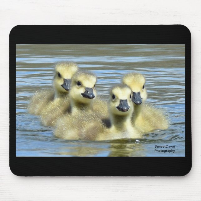Baby Geese Mouse Mat (Front)