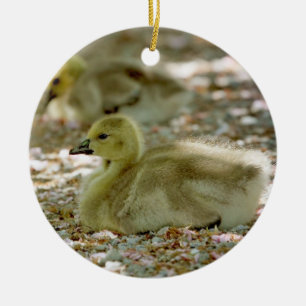 Baby Geese on a Bed of Roses Ceramic Tree Decoration