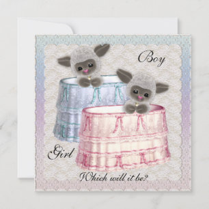 Baby Gender Reveal Party Invitation