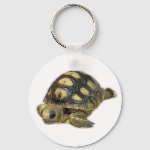 Baby Ghopher Tortoise Key Ring