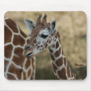 Baby Giraffe 02 Mouse Mat