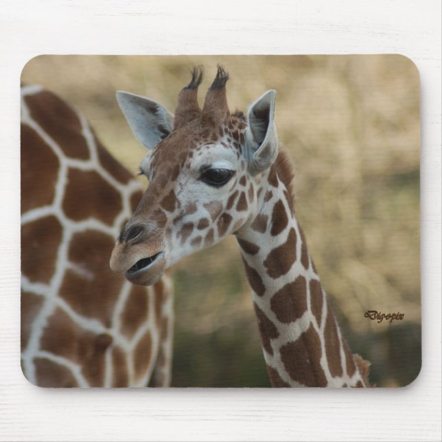 Baby Giraffe 02 Mouse Mat (Front)