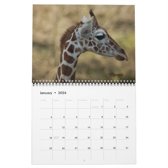 Baby Giraffe 2012 Calendar (Jan 2026)